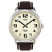 ������� ���� Timex Tx28201