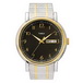 ������� ���� Timex Tx2m485