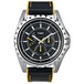 ������� ���� Timex Tx2n108