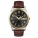 ������� ���� Timex Tx2n106