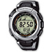 ������� ���� CASIO PRW-1300-1VER