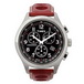 ������� ���� Timex Tx2m551