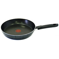��������� TEFAL 04011124 (24 ��)