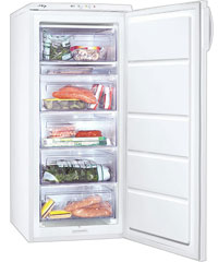 ����������� ������ ZANUSSI ZFU 319 EW