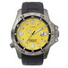 ������� ���� Timex Tx49614