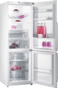 ������������ ����������� GORENJE RK 65 SYW