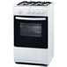 ������� ����� ZANUSSI ZCG 55 GGW