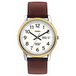 ������� ���� Timex Tx20011