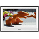 LCD ��������� SONY KDL-26E4000